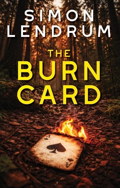 The Burn Card book cover